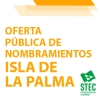 Las sustituciones en la isla de La Palma se cubrirn por oferta pblica va Web