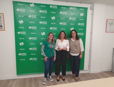 El STEC-IC se rene con la diputada Carmen Hernndez de NC para abordar la futura Ley del Empleado Pblico